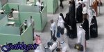 داروهای ممنوعه حج تمتع ۹۷ اعلام شد